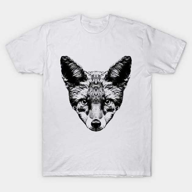 Fox / Head / Face T-Shirt by R LANG GRAPHICS